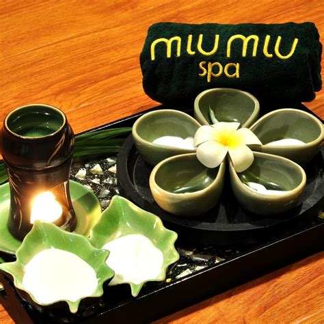 miu miu spa3|where to buy miu michu.